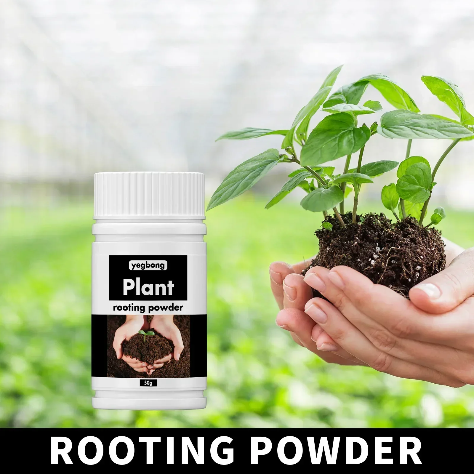 Roots Nutrition & Fitness Inglewood Photos - Rare Plant Rooting Powder Plant Fruit