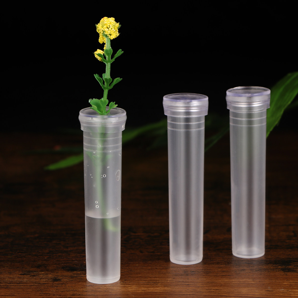 Nutrition & Fitness Hub Photos - 50Pcs Small Compact Flower Water Tube