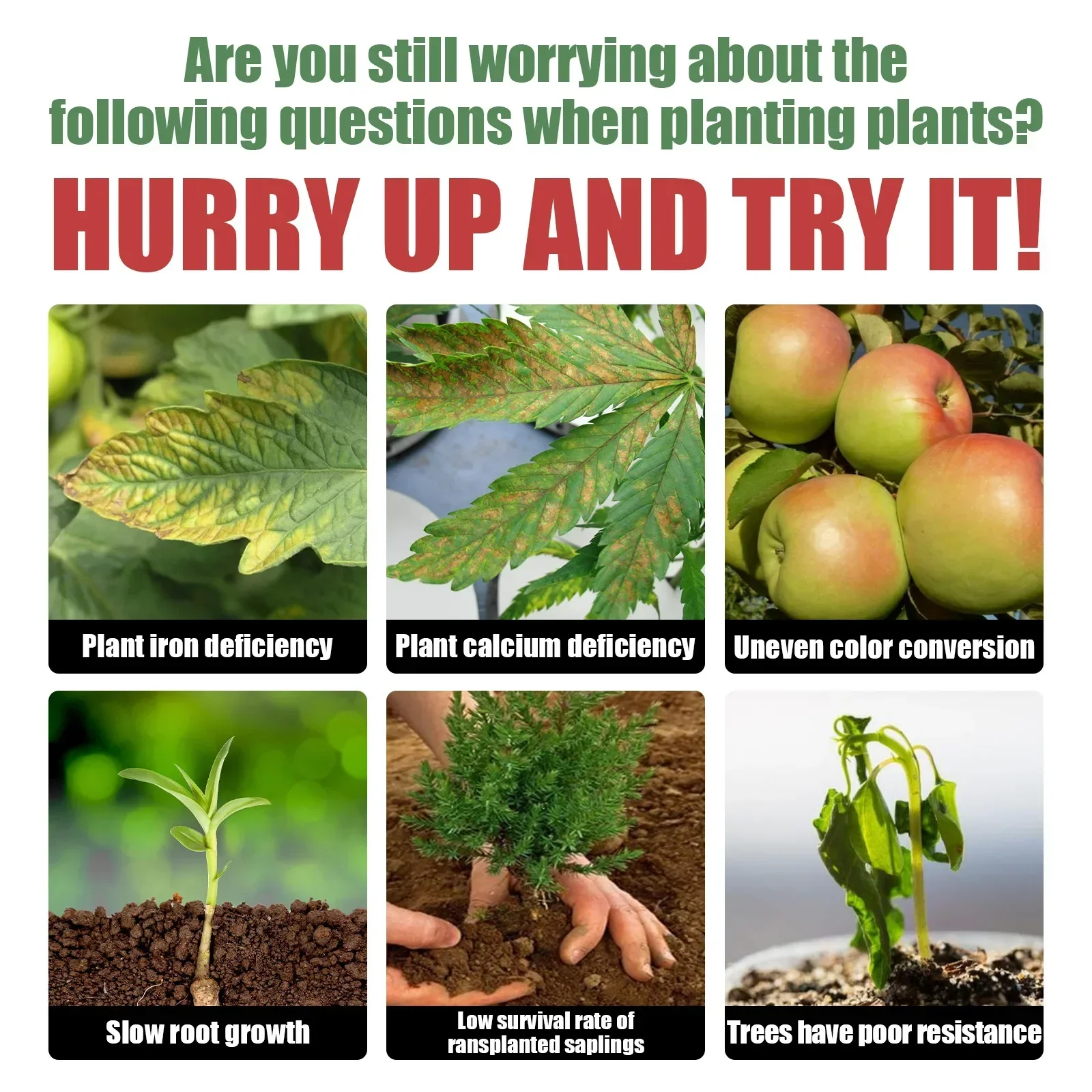 Rare Plant Rooting Powder Plan – Roots Nutrition & Fitness Inglewood Photos Bewertung und Preis