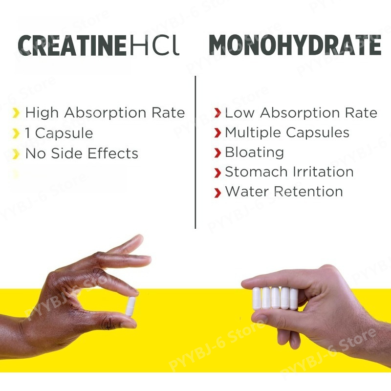 Creatine HCl Capsules High Abs – Creatine Hcl Capsule Bewertung und Preis