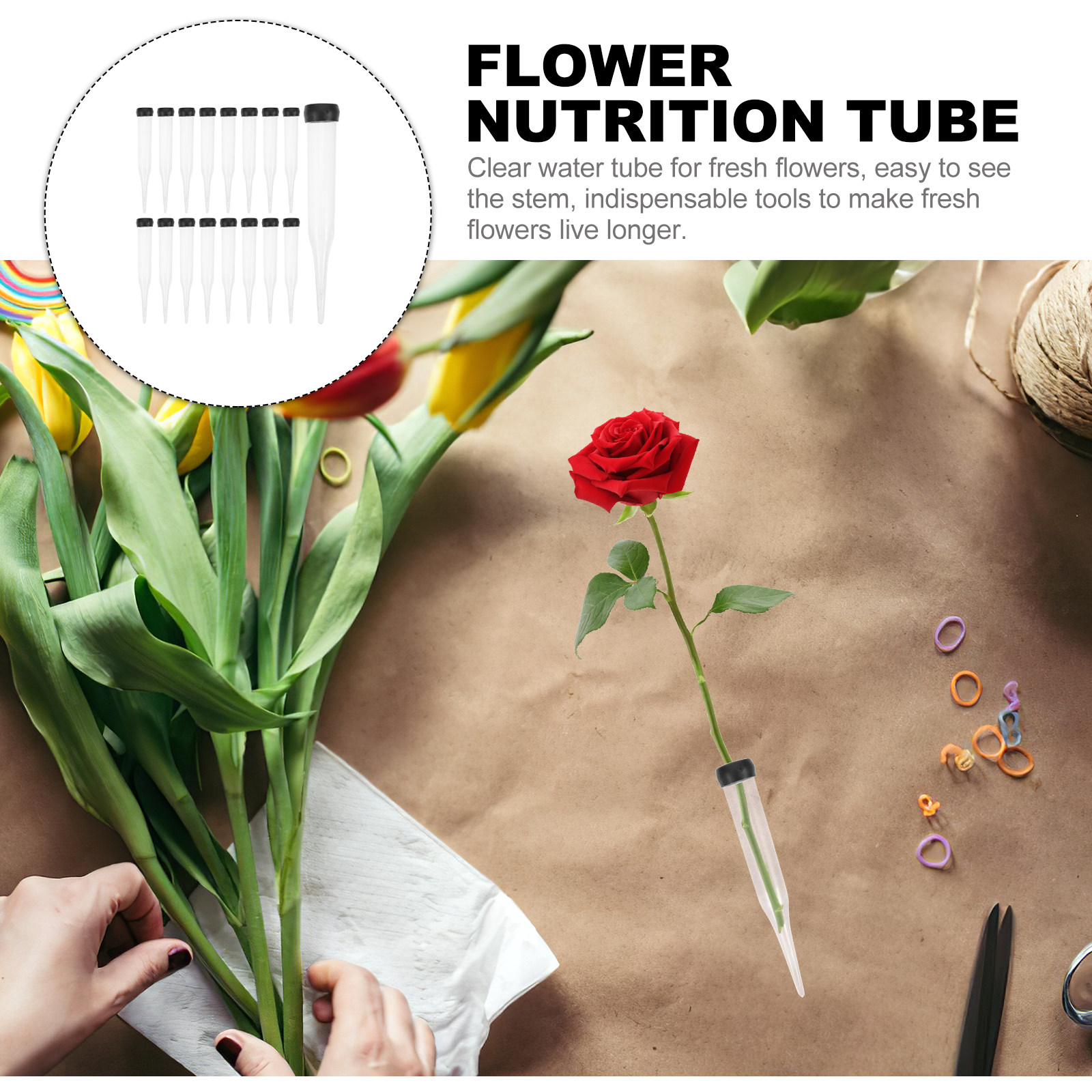 50Pcs Fresh Flower Nutrition T – Nutrition & Fitness Hub Photos Bewertung und Preis
