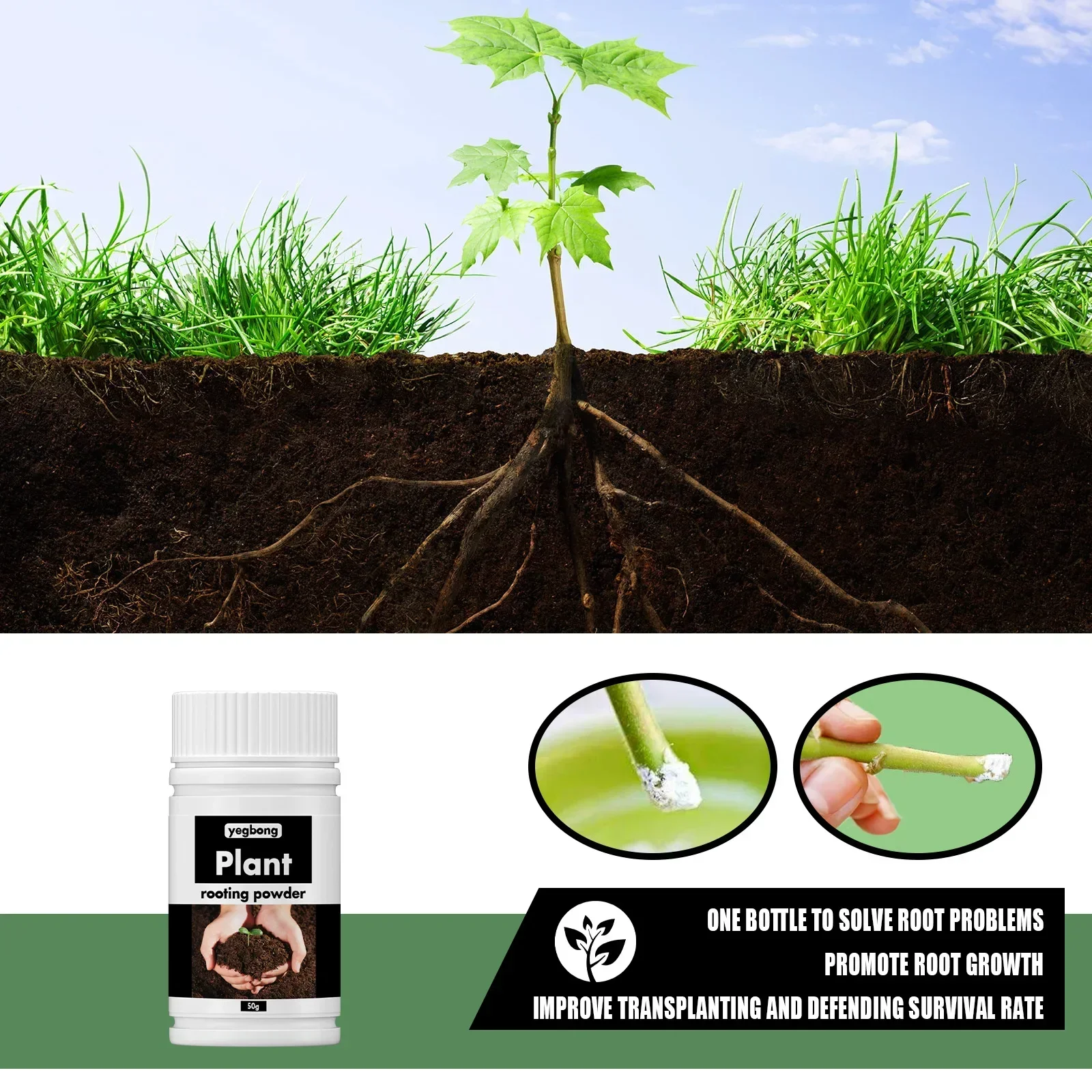 Rare Plant Rooting Powder Plan – Roots Nutrition & Fitness Inglewood Photos Bewertung und Preis