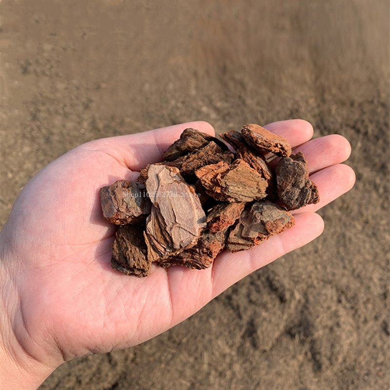 500g Fermented Pine Bark Natur – Roots Nutrition & Fitness Inglewood Photos Bewertung und Preis