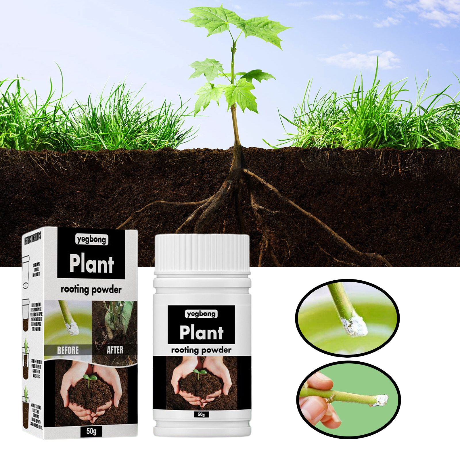 1Rare Plant Rooting Powder Pla – Roots Nutrition & Fitness Inglewood Photos Bewertung und Preis