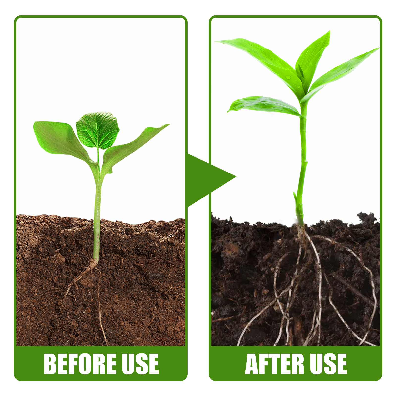 1Rare Plant Rooting Powder Pla – Roots Nutrition & Fitness Inglewood Photos Bewertung und Preis