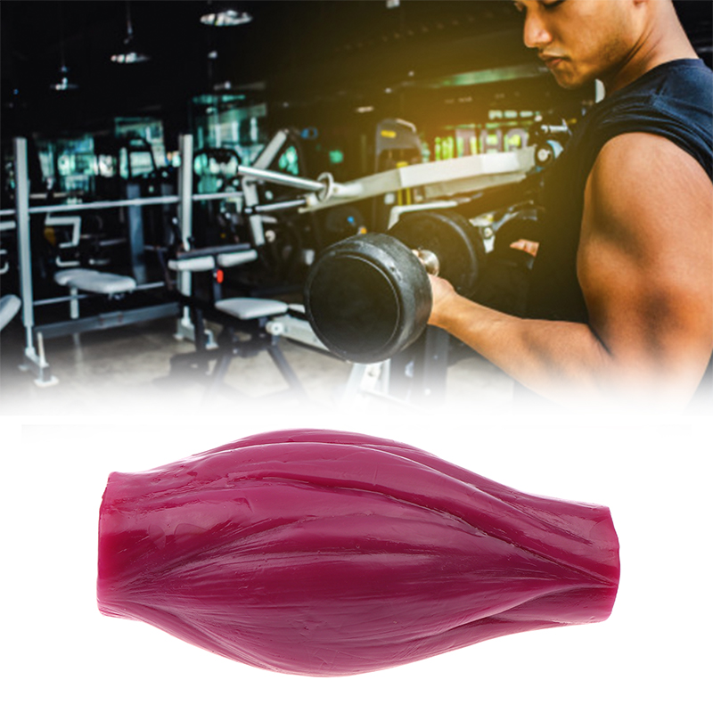 1lb Muscle to Keep Fit & Weigh – Nutrition Fitness Course Bewertung und Preis