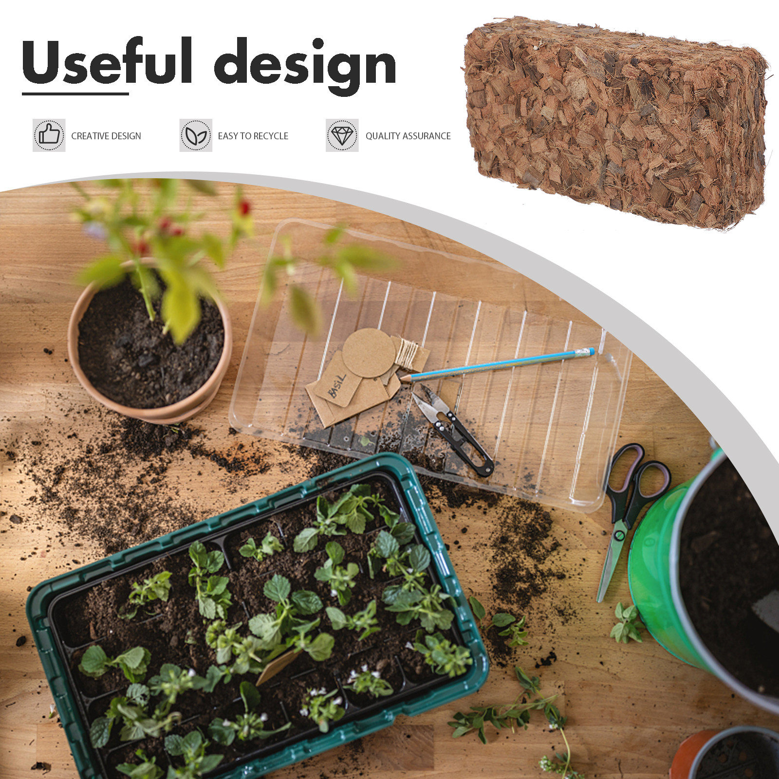 Plant Nursery Block Coconut Co – Nutrition & Fitness Hub Photos Bewertung und Preis